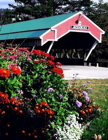 Covered Bridge River View Lodge (Adults Only) Jackson Esterno foto